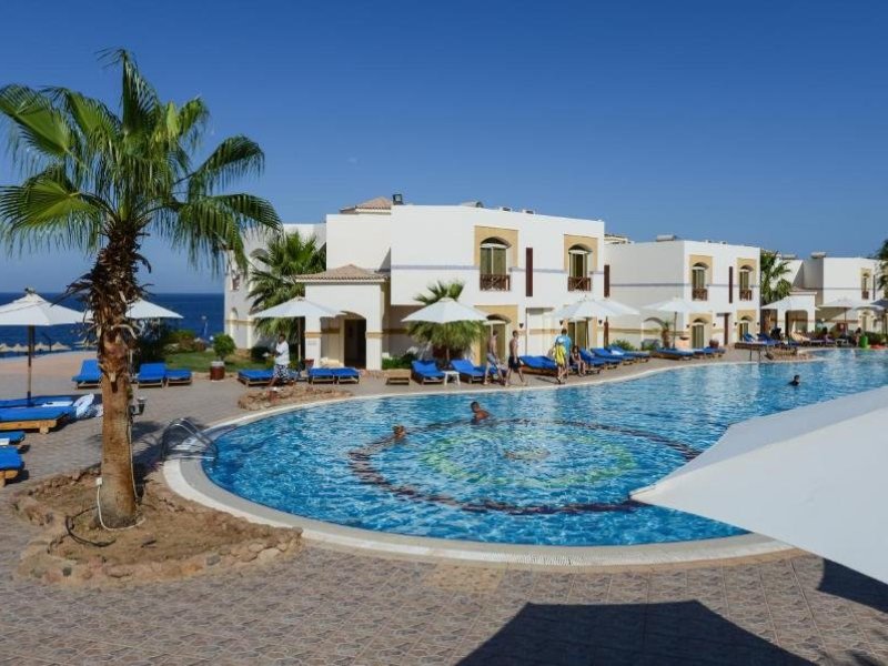 Amphoras Blu - Adults Only