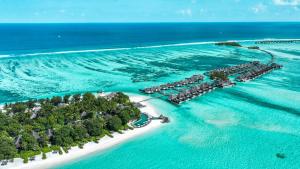 Furaveri Island Resort & Spa