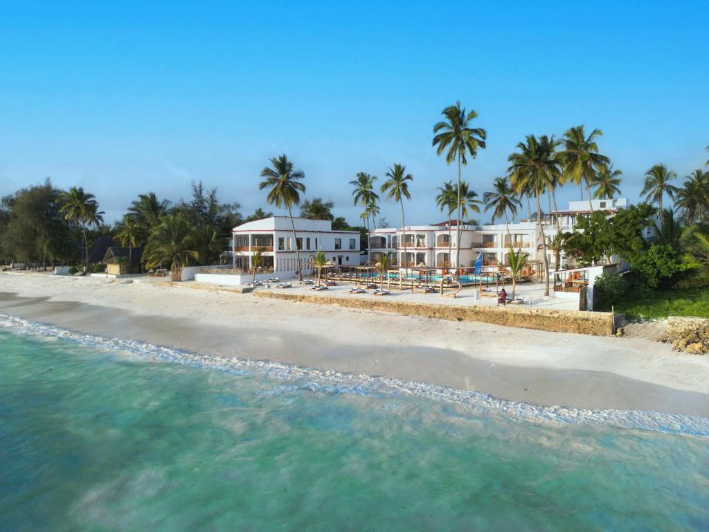 Dreams of Zanzibar