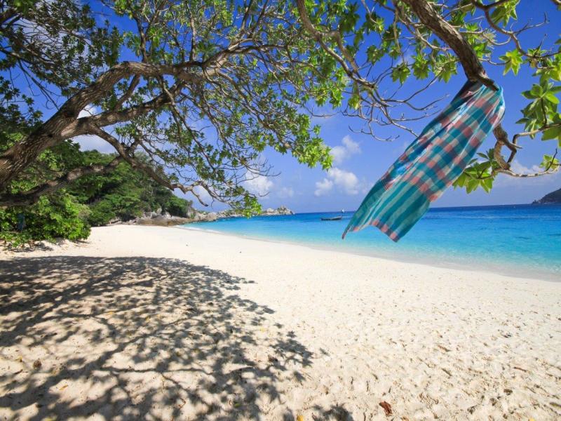 Nozioni di base su Bangkok e vacanza sulla spiaggia di Phuket, tour per piccoli gruppi, foto 8