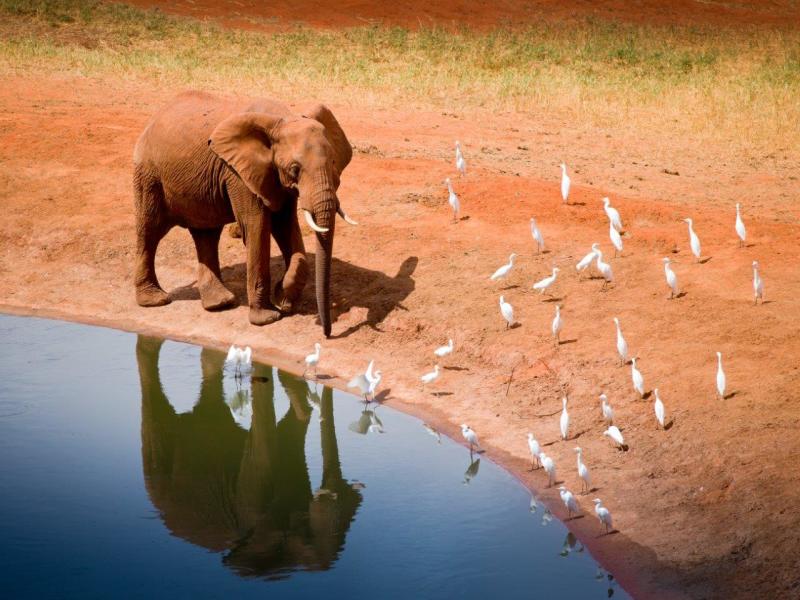 Dal Kilimanjaro a Mombasa, tour privato