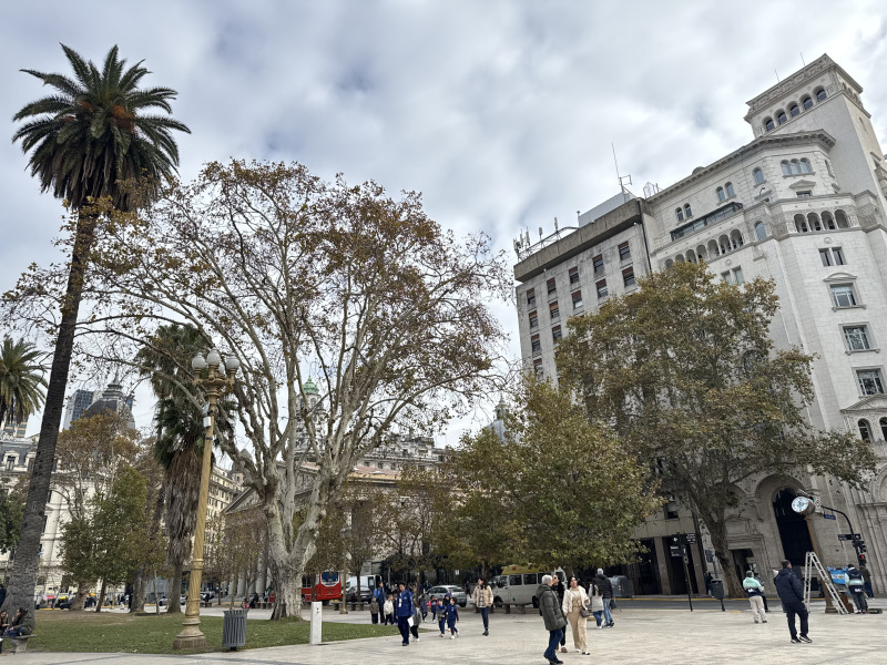 Soggiorno di 4 giorni a Buenos Aires con spettacolo di tango, con guida in lingua italiana, foto 7