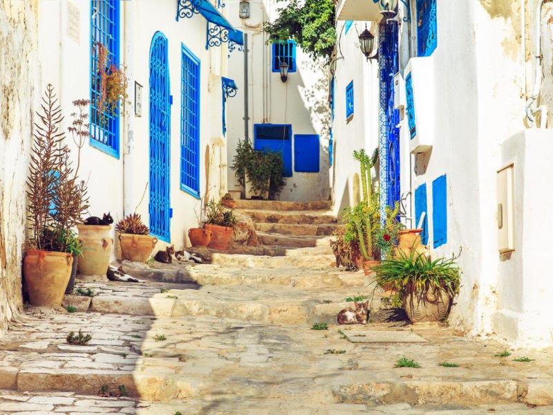 Il meglio della Tunisia e estensione all-inclusive sulla spiaggia (rimanete connessi), tour per piccoli gruppi, foto 4