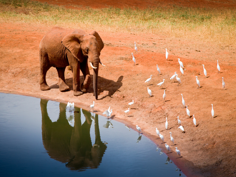 Avventura in Kenya, foto 2