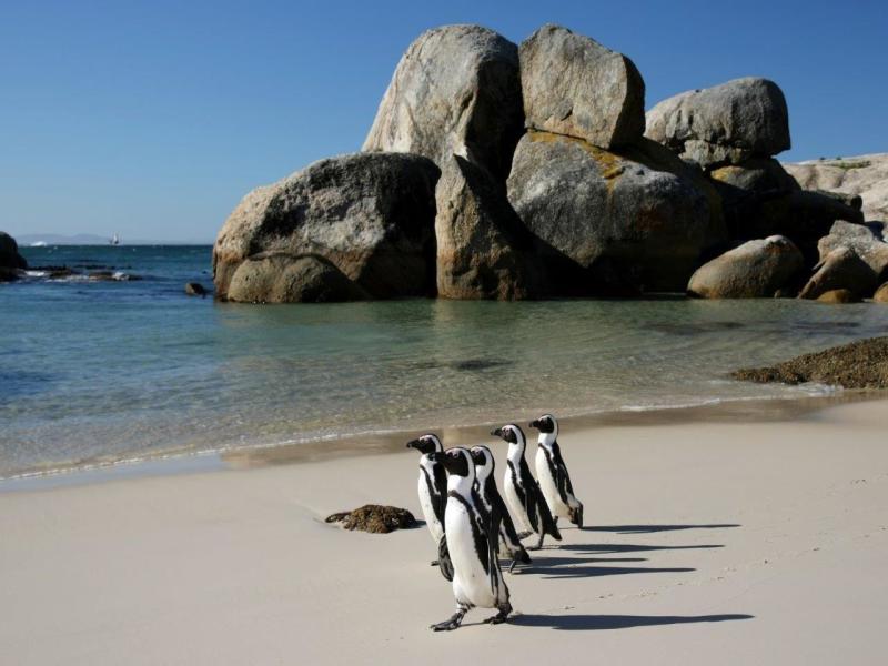 Cape Town Kruger and Garden Route, Self-Drive, foto 7