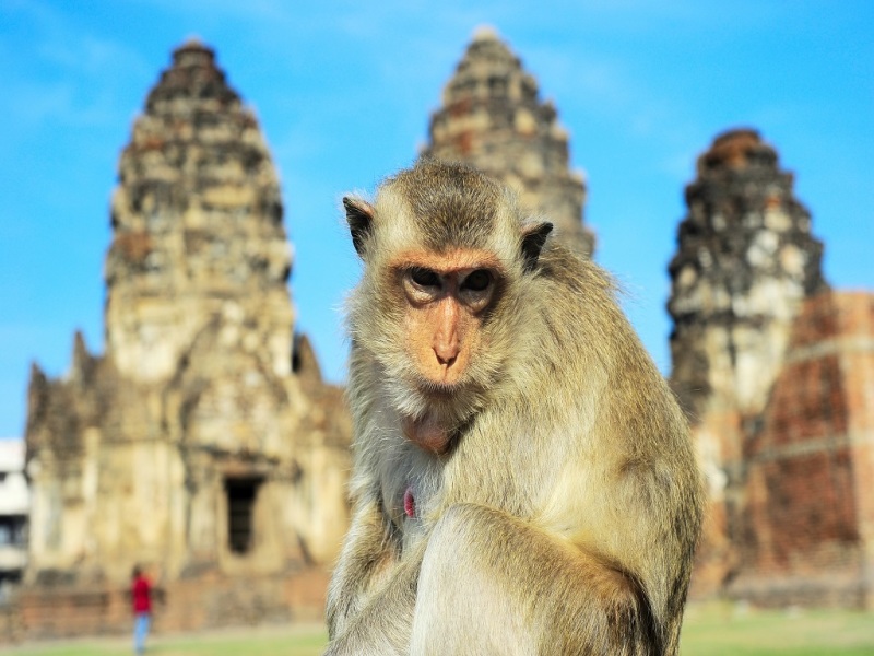 Isaan (Thailandia del Nordest) e fiume Mekong, Tour per Piccoli Gruppi, foto 7