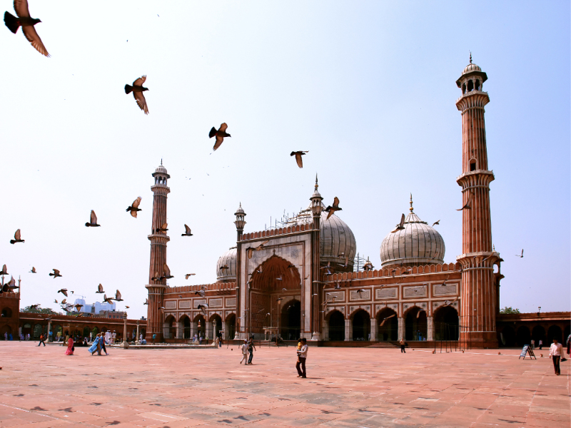 Special Rajasthan, guida in lingua italiana, foto 10