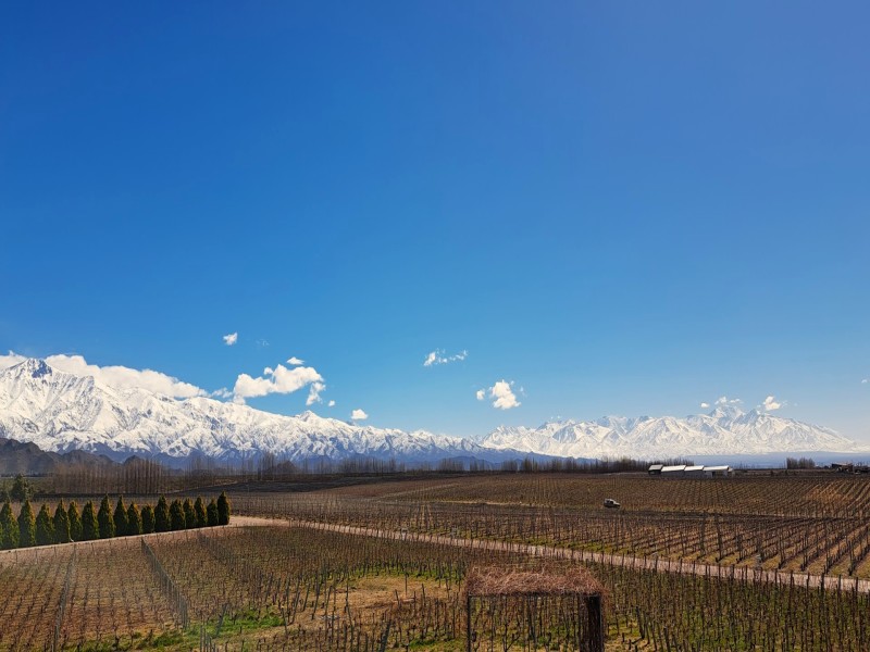 Esperienza di 4 giorni nella regione vinicola di Mendoza, con guida in lingua italiana