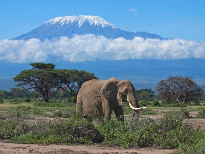 East African Explorer, Zebra Plains e Serena Lodges - Tour privato (Multi Paese), foto 5