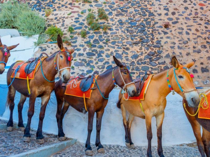 Giro delle isole greche: Mykonos, Paros, Santorini, foto 9