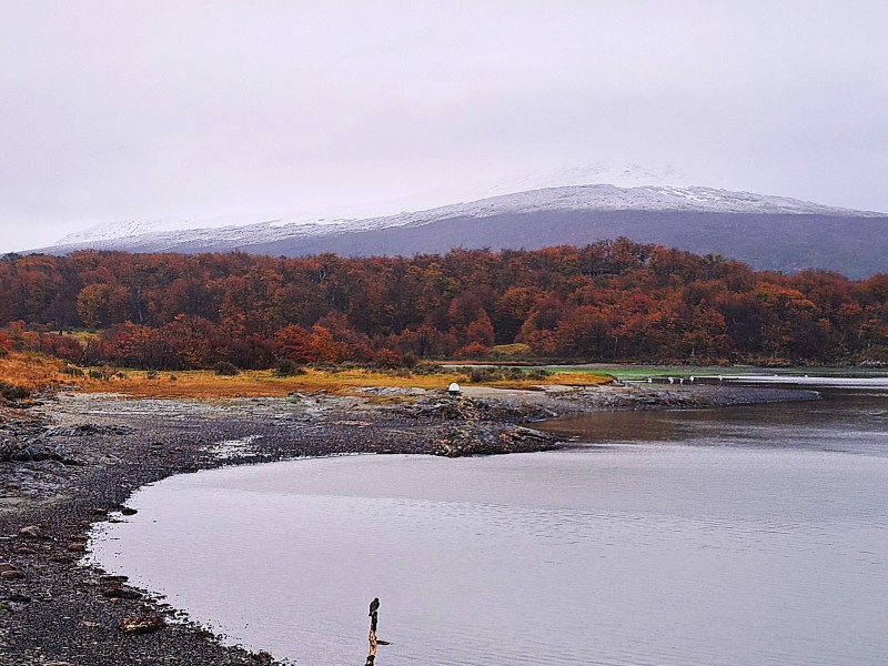 Avventura Soft di 6 giorni a Ushuaia, con guida in lingua italiana, foto 8