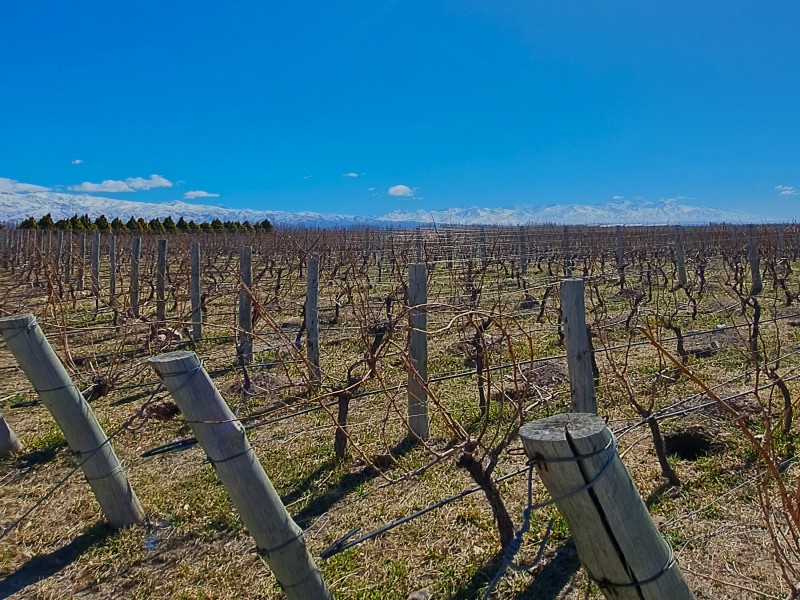 Esperienza di 4 giorni nella regione vinicola di Mendoza, con guida in lingua italiana, foto 2