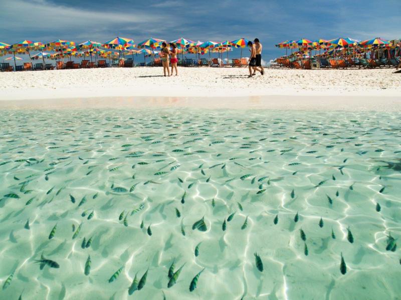 Bangkok, Golden Triangle e Phuket Superior con voli nazionali inclusi, foto 6