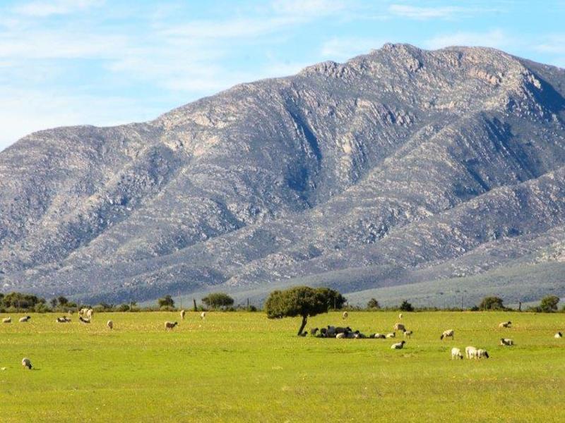 Cape Town Kruger and Garden Route, Self-Drive