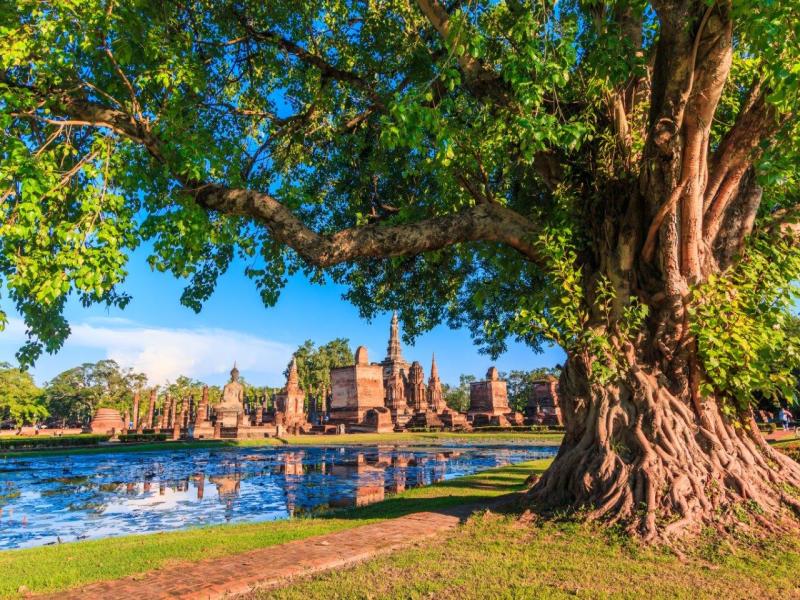 Bangkok e le Antiche Capitali, Tour per Piccoli Gruppi, foto 5
