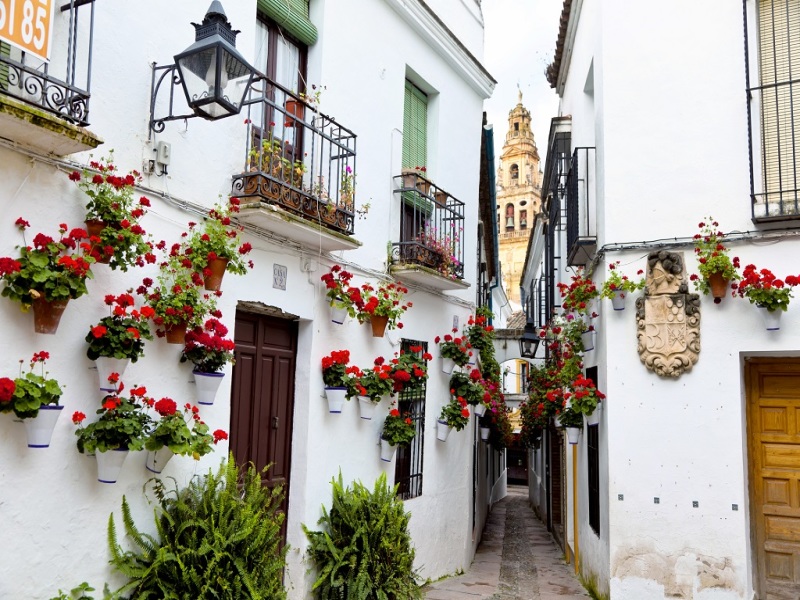 8-day Il Cuore dell’Andalusia, foto 6