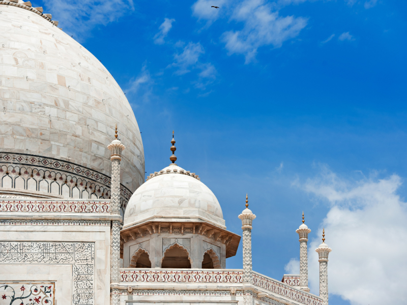 Special Rajasthan, guida in lingua italiana, foto 2