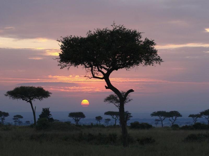 Attraverso la Rift Valley - Sentrim lodge, foto 3