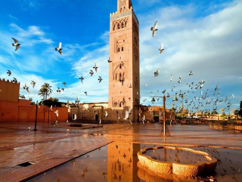 Un viaggio lungo 1000 kasbah, Self-drive, foto 4