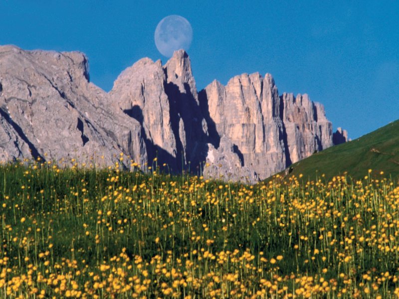Le Dolomiti e il Prosecco, Self-Drive, foto 5