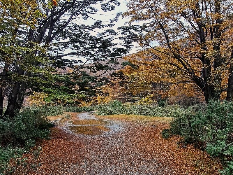 Ushuaia Classica di 4 giorni: Parco Nazionale della Terra del Fuoco, con guida in lingua italiana, foto 4