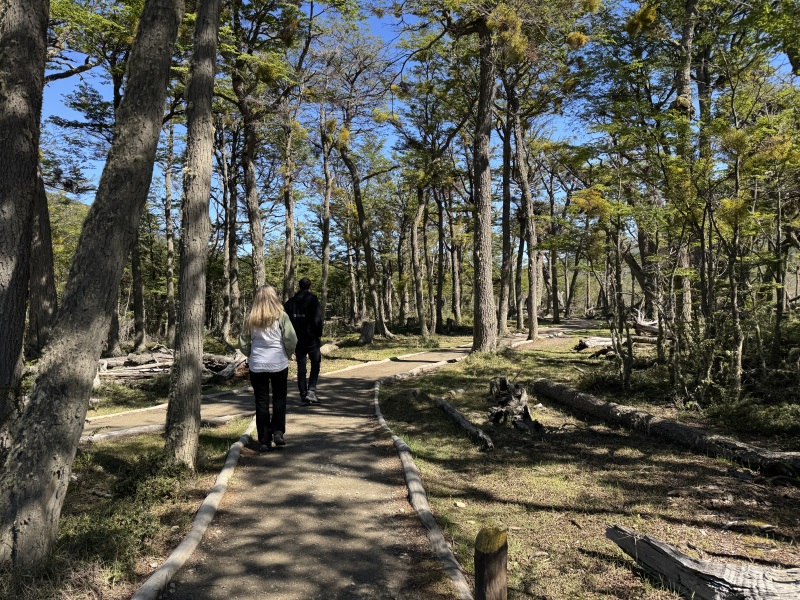 Avventura Soft di 6 giorni a Ushuaia, con guida in lingua italiana, foto 10