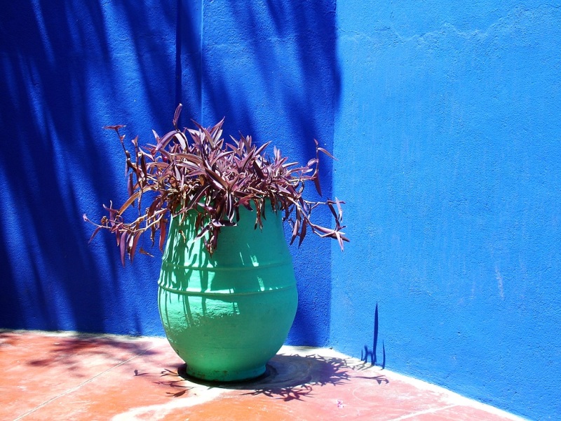 Chefchaouen e Marocco settentrionale, tour privato, foto 7
