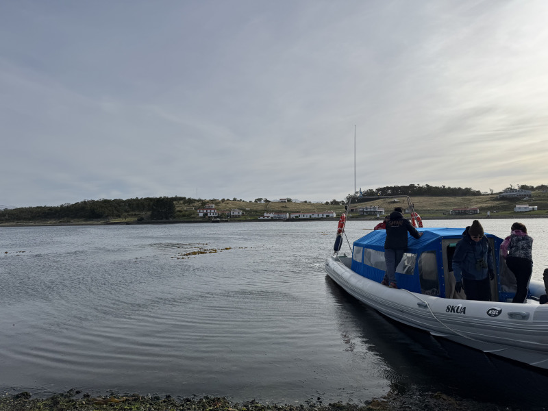 Tour di 5 giorni a Ushuaia nella stagione dei pinguini (da ottobre a marzo), con guida in lingua italiana, foto 5