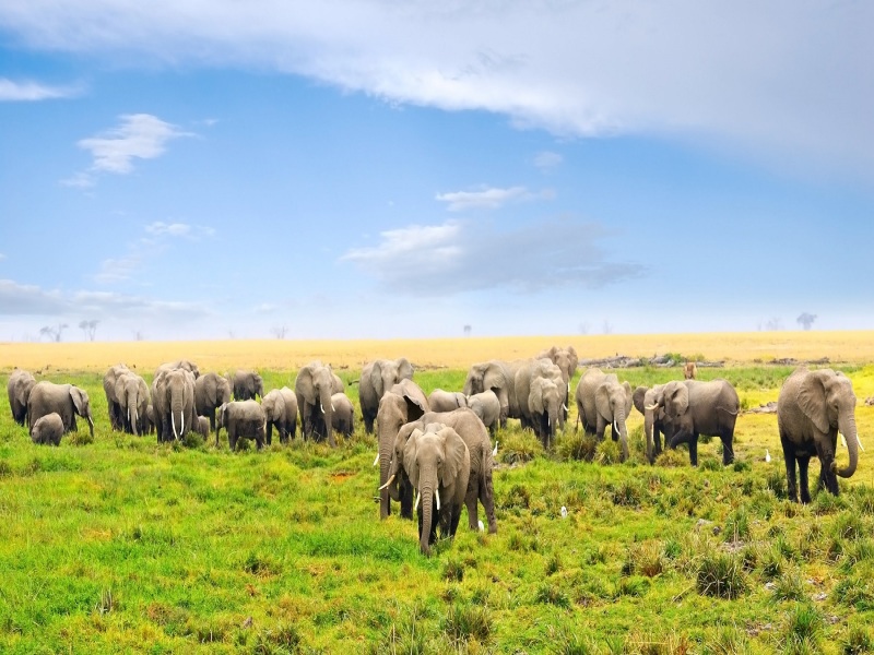 Kenya Classic, Sentrim Lodges - Tour Privato
