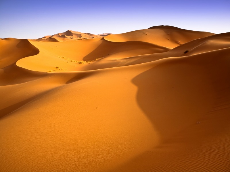 Sahara e Alto Atlante, tour privato, foto 5