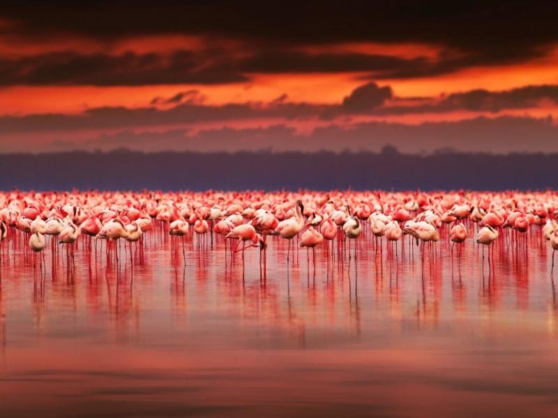Attraverso la Rift Valley, Sopa Lodges - Tour Privato