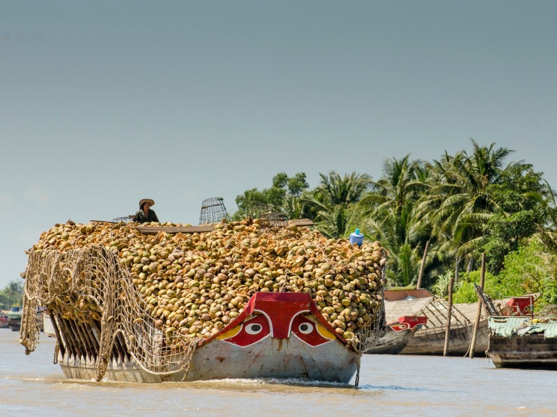In bicicletta dal Delta del Mekong fino all'antica Angkor Wat (con guida in inglese), foto 6