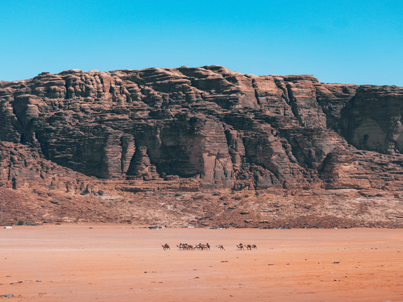 Wadi Rum Village