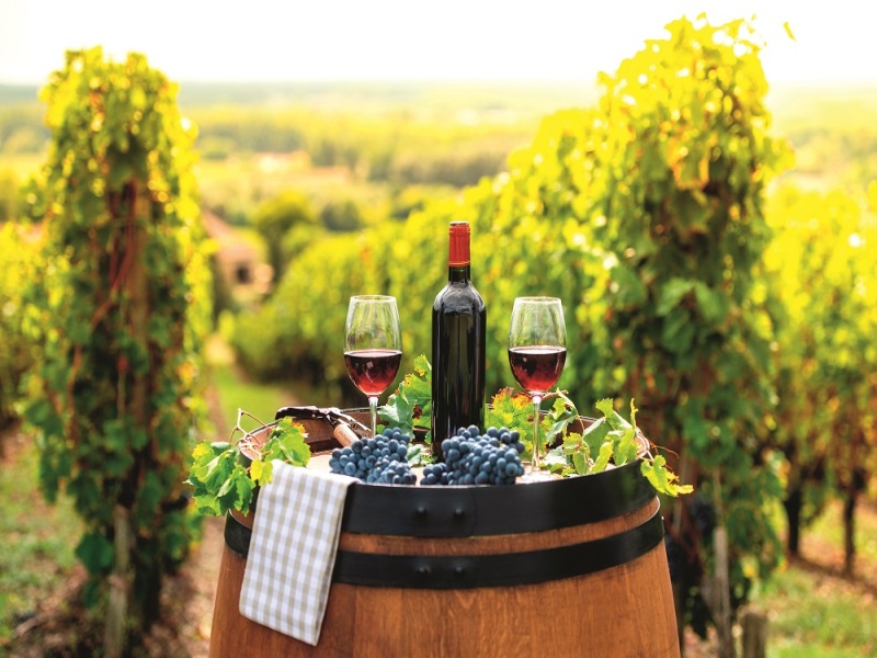 Le Dolomiti e il Prosecco, Self-Drive, foto 6