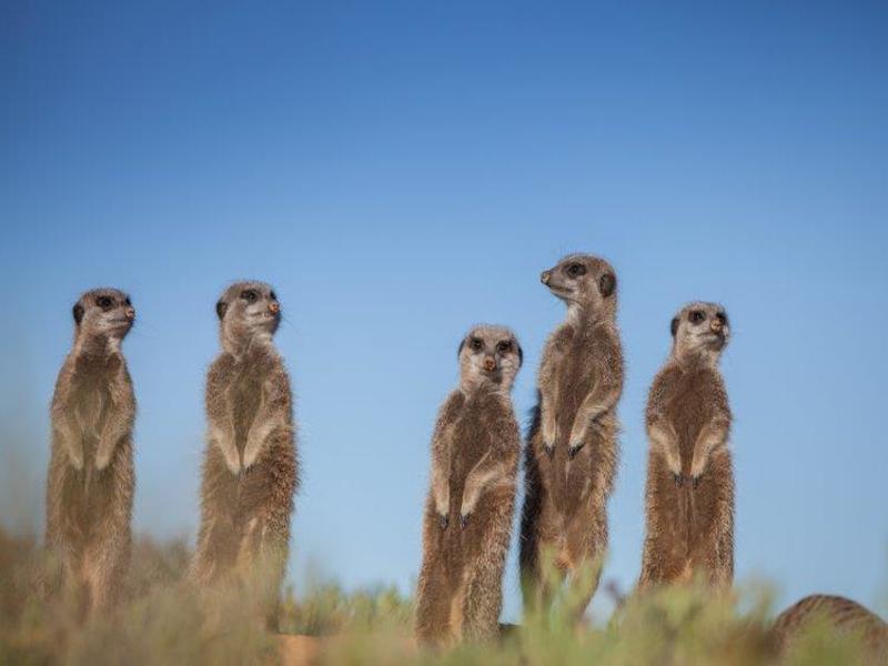 Cape Town Kruger and Garden Route, Self-Drive, foto 4