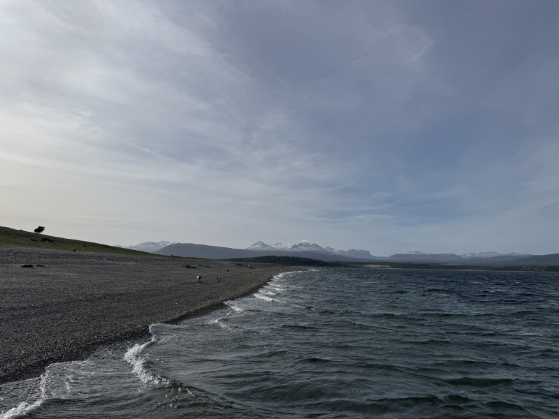 Tour di 5 giorni a Ushuaia nella stagione dei pinguini (da ottobre a marzo), con guida in lingua italiana, foto 9