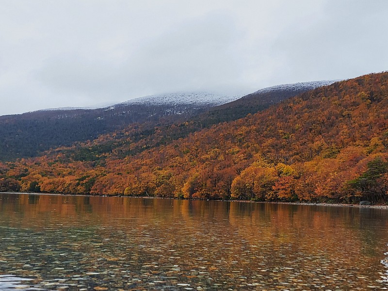 Ushuaia Classica di 4 giorni: Parco Nazionale della Terra del Fuoco, con guida in lingua italiana, foto 3