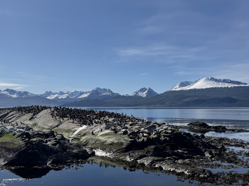 Tour di 10 giorni tra Buenos Aires e la Patagonia completa con guida in lingua italiana, foto 3