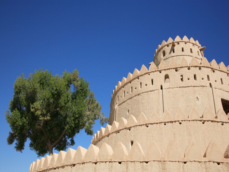 Il Tesoro Degli Emirati, foto 9