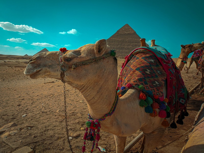 Cairo