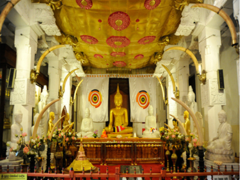 EXPLORE SRI LANKA IN 07N/08D PARTENZE REGOLARI / 2026-27, foto 6