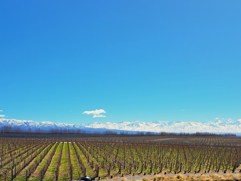Esperienza di 4 giorni nella regione vinicola di Mendoza, con guida in lingua italiana, foto 3