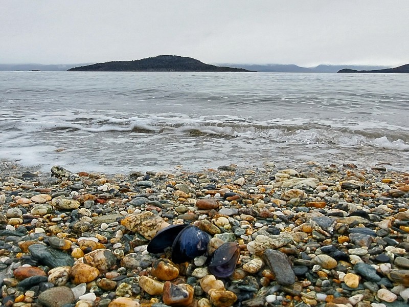 Avventura Soft di 6 giorni a Ushuaia, con guida in lingua italiana, foto 3