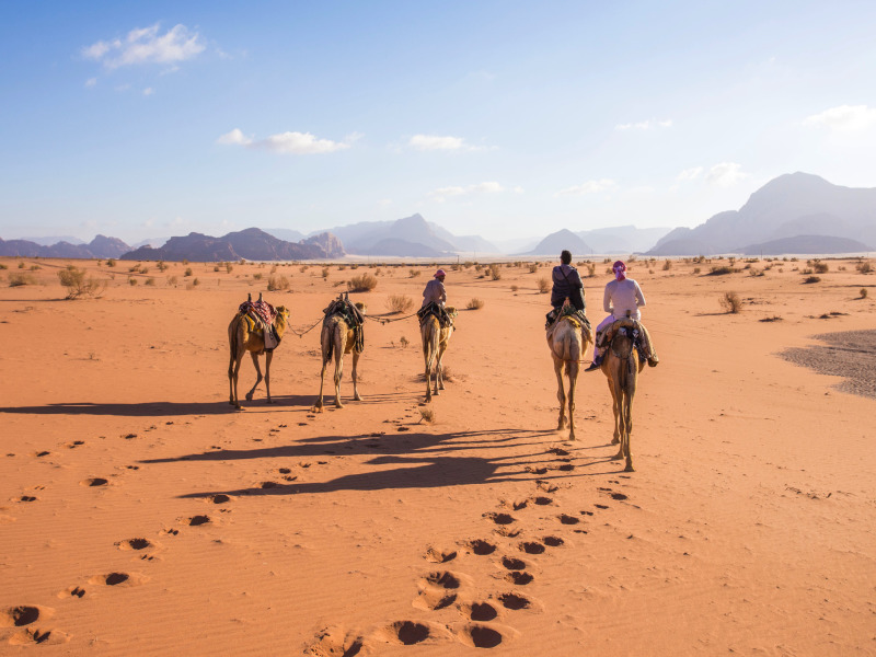 Wadi Rum Village