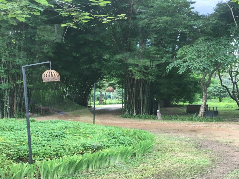 Champassak, Pakse