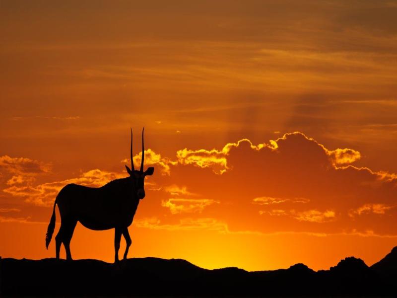 Namibia nel modo migliore, Self-drive