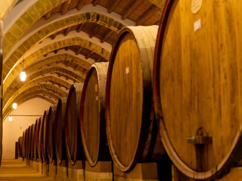 Le Dolomiti e il Prosecco, Self-Drive, foto 8