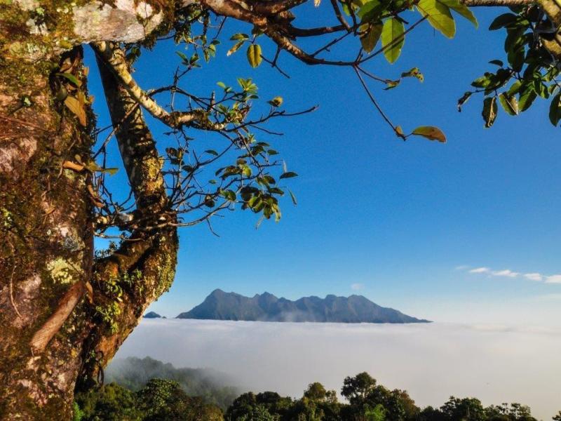 Punti salienti della Thailandia del Nord, tour privato