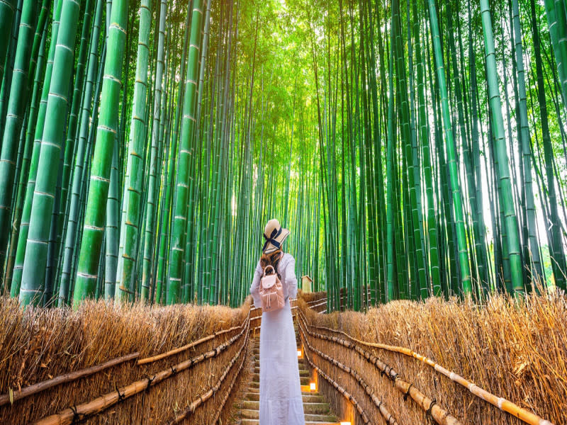 KYOTO, HAKONE e TOKYO, foto 4