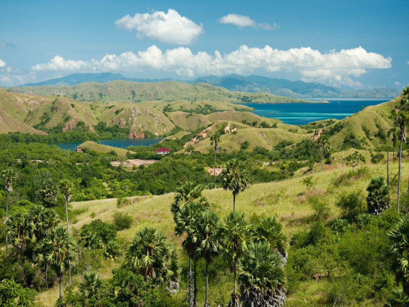 Komodo Seraya Package, foto 7